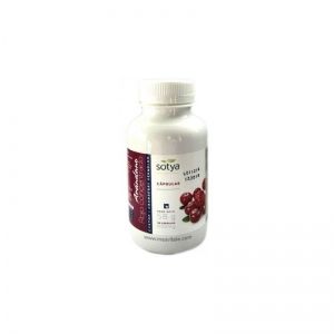 Arandano Rojo Concentrado Lab Sotya 525 mg 90 Capsulas